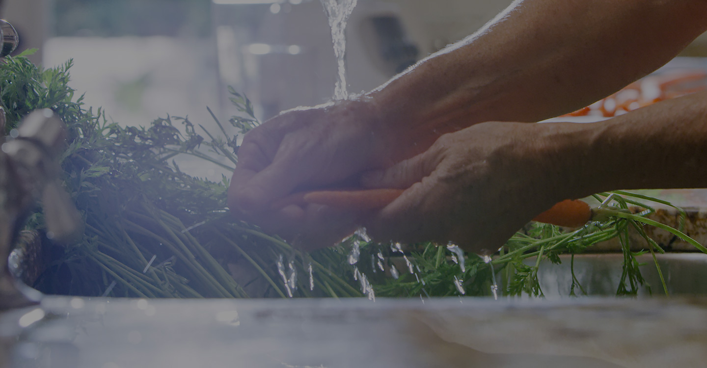 Hands washing carrots and other nutritious vegetables in a sink